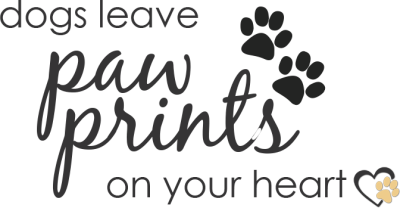 Contact Paws of Love Goldendoodles. Get in Touch Today